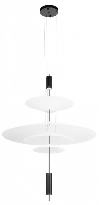 Подвесной светильник Loft it Skylar 10244/C Black