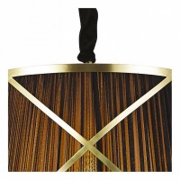 Подвесной светильник Arte Lamp Vitruvio A2805SP-1BK
