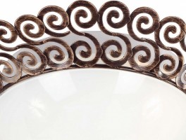 Накладной светильник Favourite Dina 1670-2C