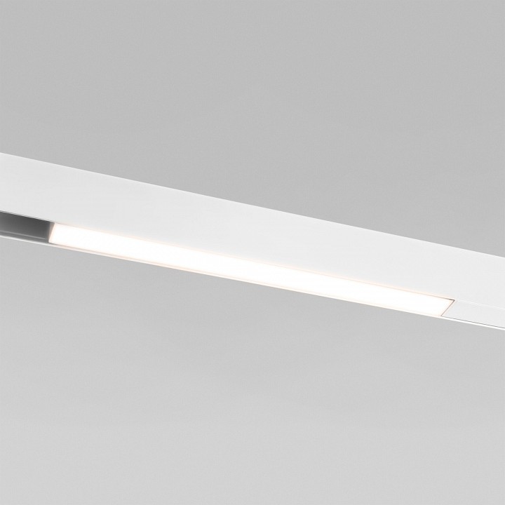 Встраиваемый светильник Elektrostandard Slim Magnetic L 85000/01