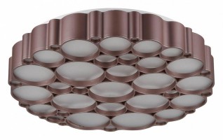 Накладной светильник Vele Luce Bible VL7156L01