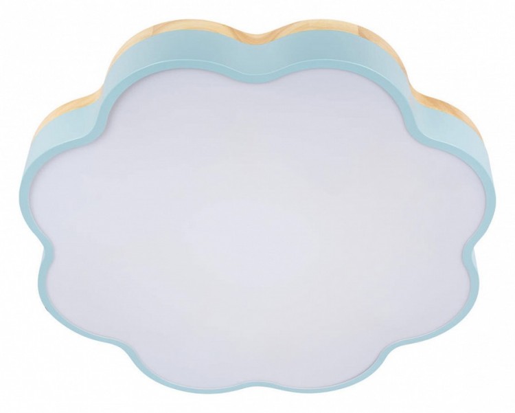 Накладной светильник Loft it Axel 10225/36 Blue