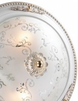 Накладной светильник Odeon Light Corbea 2670/2C