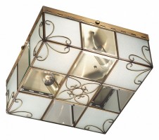 Накладной светильник Odeon Light Guana 2546/4