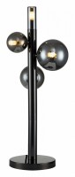 Настольная лампа декоративная Indigo Canto 11026/4T Black