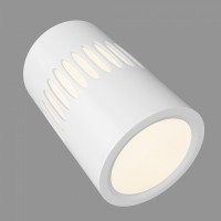 Накладной светильник Elektrostandard DLS025 & DLS026 DLS026