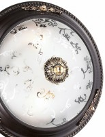 Накладной светильник Odeon Light Corbea 2671/2C
