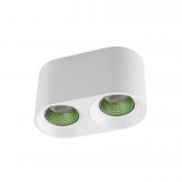 DK3096-WH+GR Светильник накладной IP 20, 10 Вт, GU5.3, LED, белый/зеленый, пластик