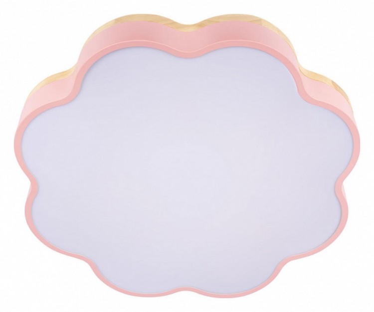 Накладной светильник Loft it Axel 10225/36 Pink