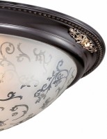Накладной светильник Odeon Light Corbea 2671/3C