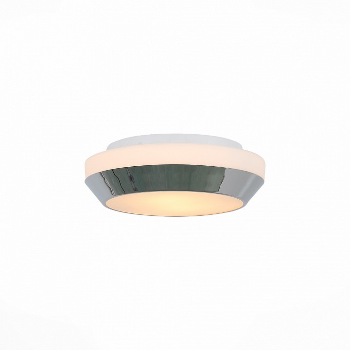 Накладной светильник ST-Luce Bagno SL469.502.02