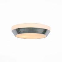 Накладной светильник ST-Luce Bagno SL469.502.03
