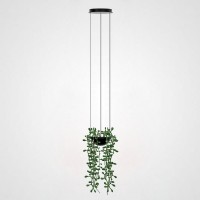 Подвесной Светильник Palma Pendant Вазон By Imperiumloft