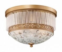 Накладной светильник Odeon Light Suri 2552/3
