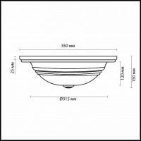 Накладной светильник Odeon Light Marli 2573/2A