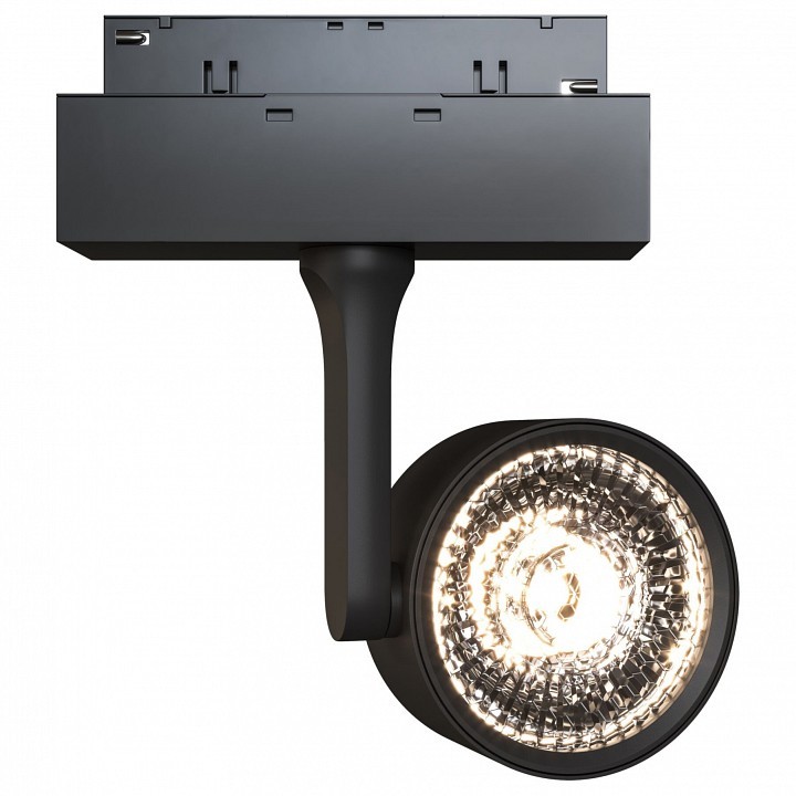 Светильник на штанге Maytoni Track lamps 3 TR024-2-10B4K