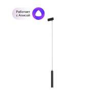 DK8008-BK Подвесной светильник SMART HANG 9W DIM 2700K-6000K черный