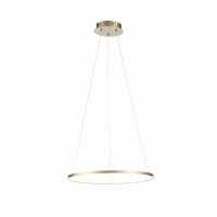 Подвесной светильник ST-Luce Erto SL904.203.01
