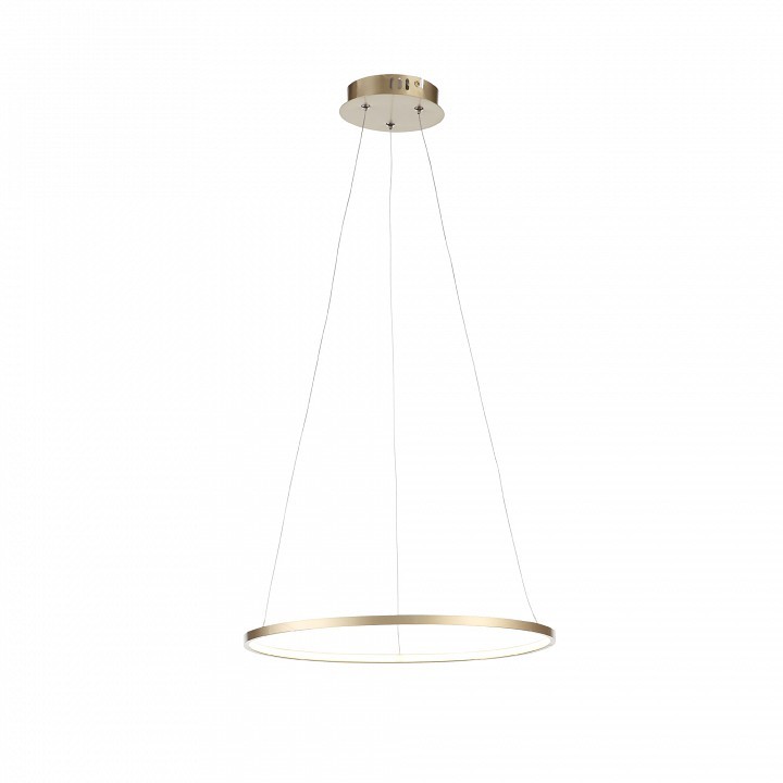 Подвесной светильник ST-Luce Erto SL904.203.01