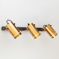 Спот Eurosvet Bronze 20063/3 LED античная бронза 27W