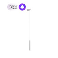 DK8008-WH Подвесной светильник SMART HANG 9W DIM 2700K-6000K белый