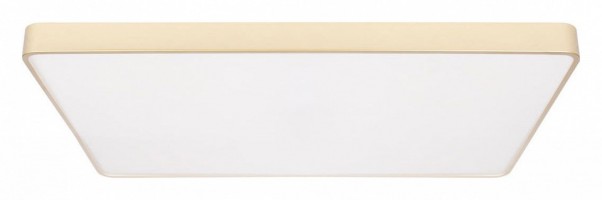 Накладной светильник Loft it Flims 10228/E