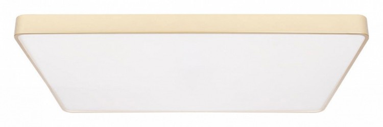 Накладной светильник Loft it Flims 10228/E