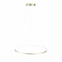 Подвесной светильник ST-Luce Erto SL904.213.01