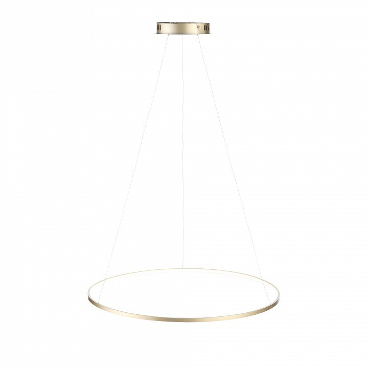 Подвесной светильник ST-Luce Erto SL904.213.01