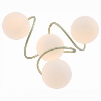 Потолочная люстра EVOLUCE Delicata SL711.202.04