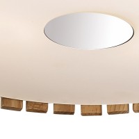 Накладной светильник Odeon Light Niko 2203/5C