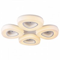 Накладной светильник ST-Luce Regen SL878.502.04-T5