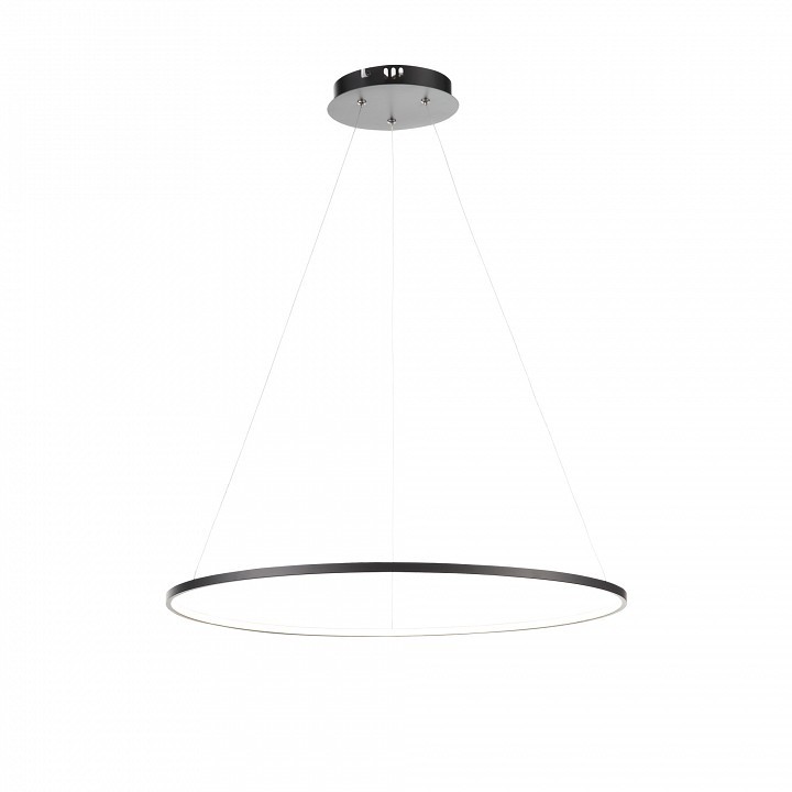 Подвесной светильник ST-Luce Erto SL904.413.01