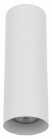 Накладной светильник Lightstar Rullo 216496