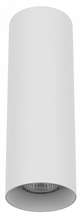 Накладной светильник Lightstar Rullo 216496