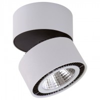 Накладной светильник Lightstar Forte Muro 213830