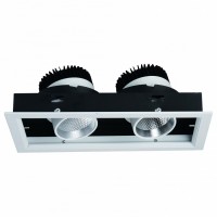 Встраиваемый светильник Arte Lamp Cardani A1712PL-2WH