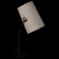 Настольная лампа декоративная Favourite Studio 1245-1T