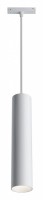 Подвесной светильник Maytoni Focus LED TR016-2-12W3K-W