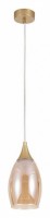 Подвесной светильник Arte Lamp Barry A7951SP-1GO