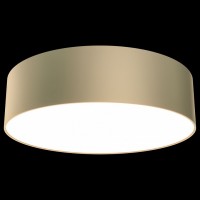 Накладной светильник Maytoni Zon C032CL-L32MG4K