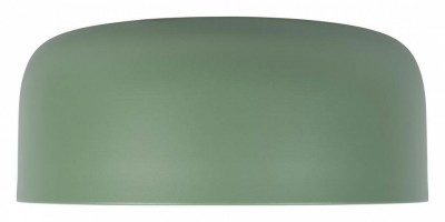 Накладной светильник Loft it Axel 10201/350 Green