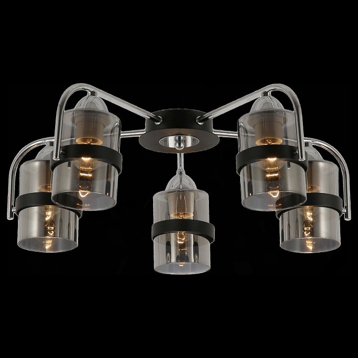 Потолочная люстра EVOLUCE Fiumo SLE102002-05