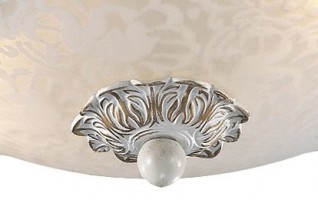 Накладной светильник Odeon Light Bone 2692/2C