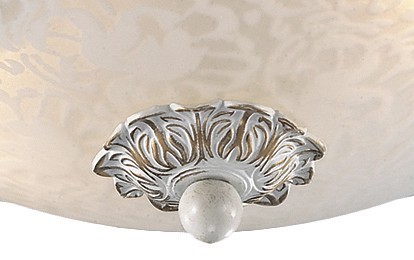 Накладной светильник Odeon Light Bone 2692/2C