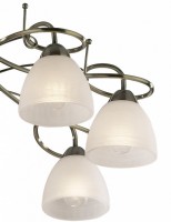 Потолочная люстра Odeon Light Kaena 2120/8C