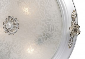 Накладной светильник Odeon Light Bone 2692/3C