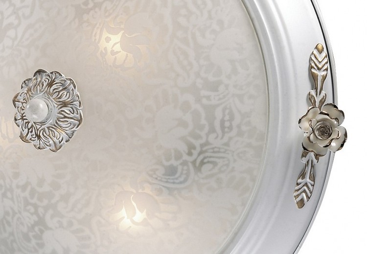 Накладной светильник Odeon Light Bone 2692/3C