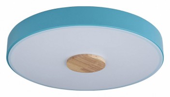 Накладной светильник Loft it Axel 2 10003/24 Blue