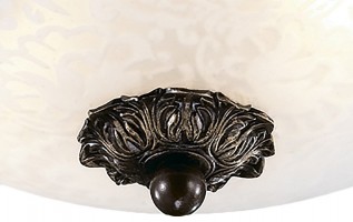 Накладной светильник Odeon Light Bone 2693/2C